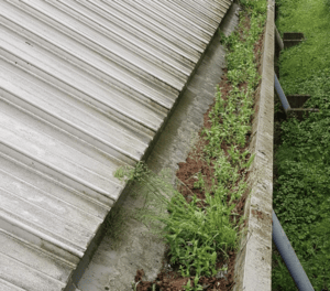 Happy customers in Godalming who trust The Roof Moss Cleaners for gutter cleaning services