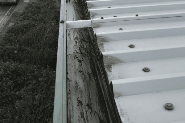 Commercial gutter cleaning specialists in Godalming
